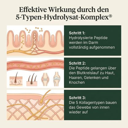Collagen peptides