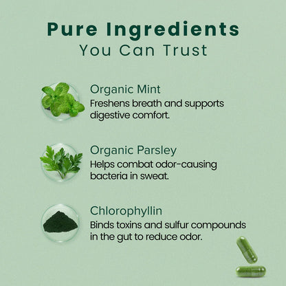 Parmint Internal Body Deodorizer